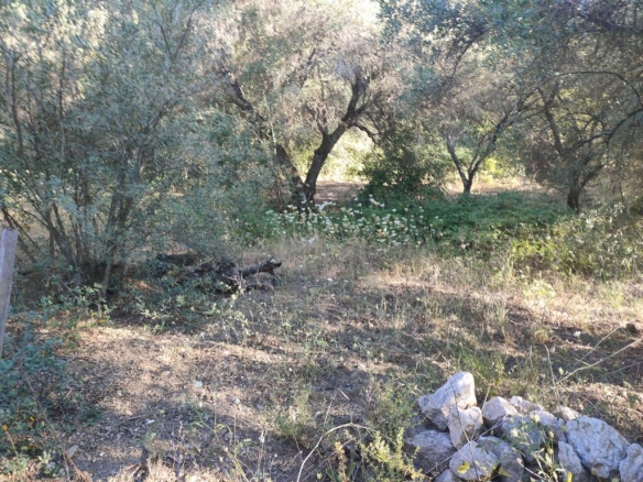 Imagen 4 de Parcela en Venta en Genalguacil Málaga