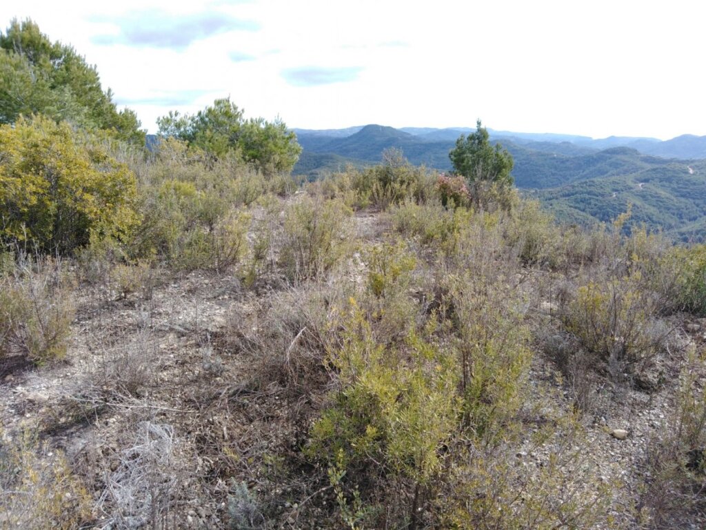 Imagen 2 de TERRENO EN VENTA EN RIVER PARK (EL PONT DE VILOMARA I ROCAFORT) Imagen 2 de TERRENO EN VENTA EN RIVER PARK (EL PONT DE VILOMARA I ROCAFORT)
