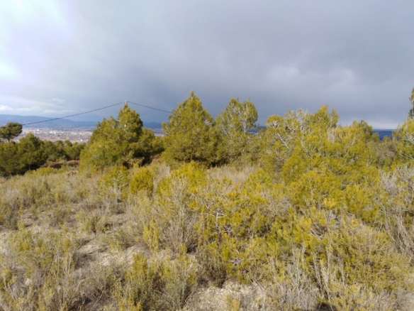 Imagen 3 de TERRENO EN VENTA EN RIVER PARK (EL PONT DE VILOMARA I ROCAFORT)