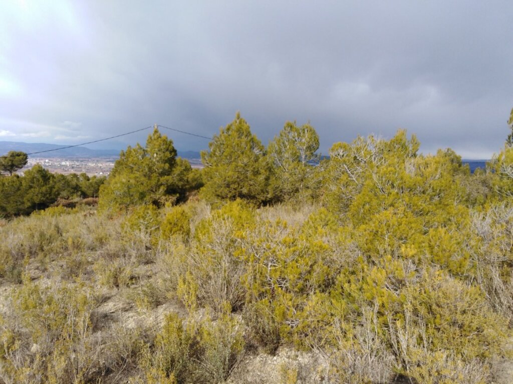 Imagen 3 de TERRENO EN VENTA EN RIVER PARK (EL PONT DE VILOMARA I ROCAFORT) Imagen 3 de TERRENO EN VENTA EN RIVER PARK (EL PONT DE VILOMARA I ROCAFORT)