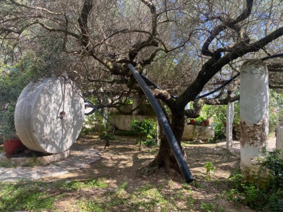 Imagen 2 de Impresionante finca en el sur de Cataluña