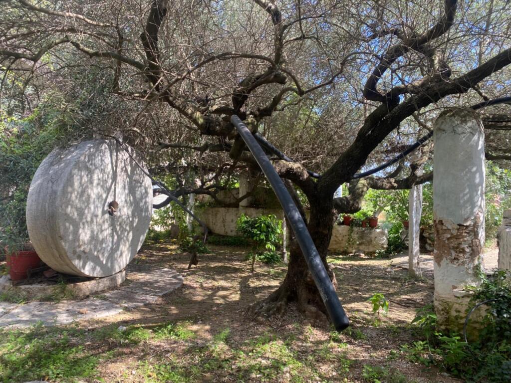 Imagen 2 de Impresionante finca en el sur de Cataluña