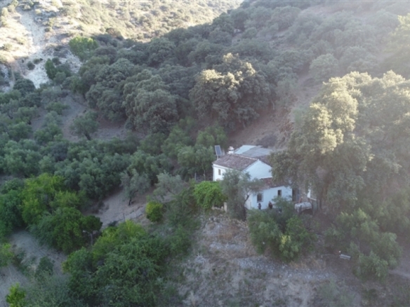 Imagen 3 de Casa de campo-Masía en Venta en Alpandeire Málaga