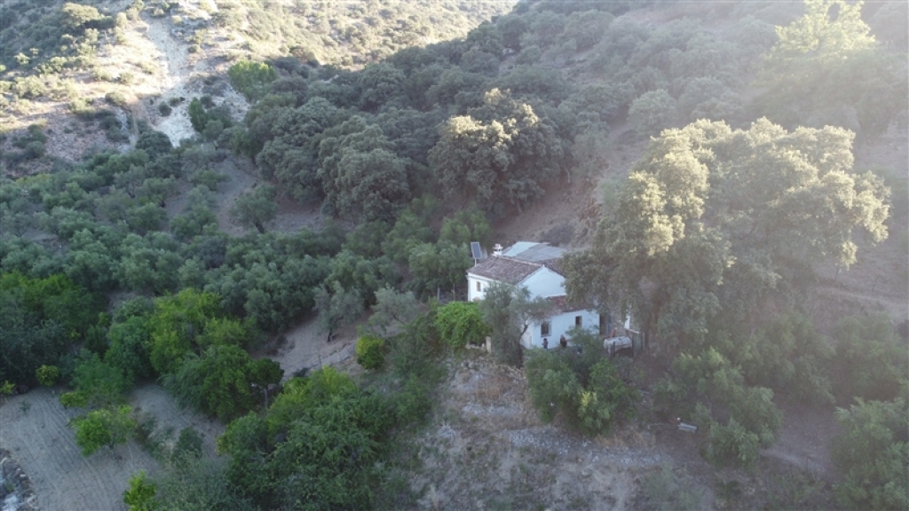 Imagen 3 de Casa de campo-Masía en Venta en Alpandeire Málaga