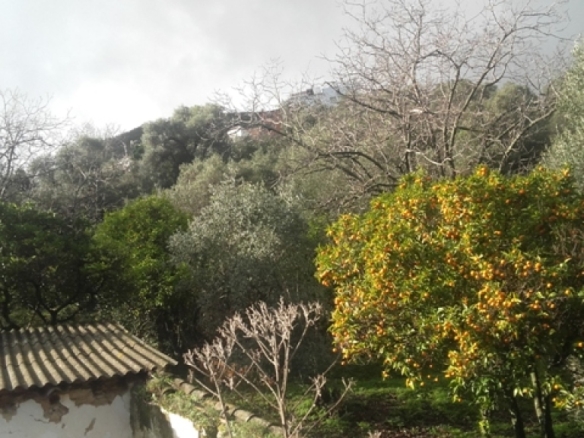 Imagen 2 de Casa de campo-Masía en Venta en Benarraba Málaga