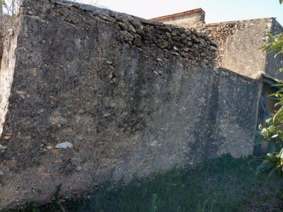 2 ha