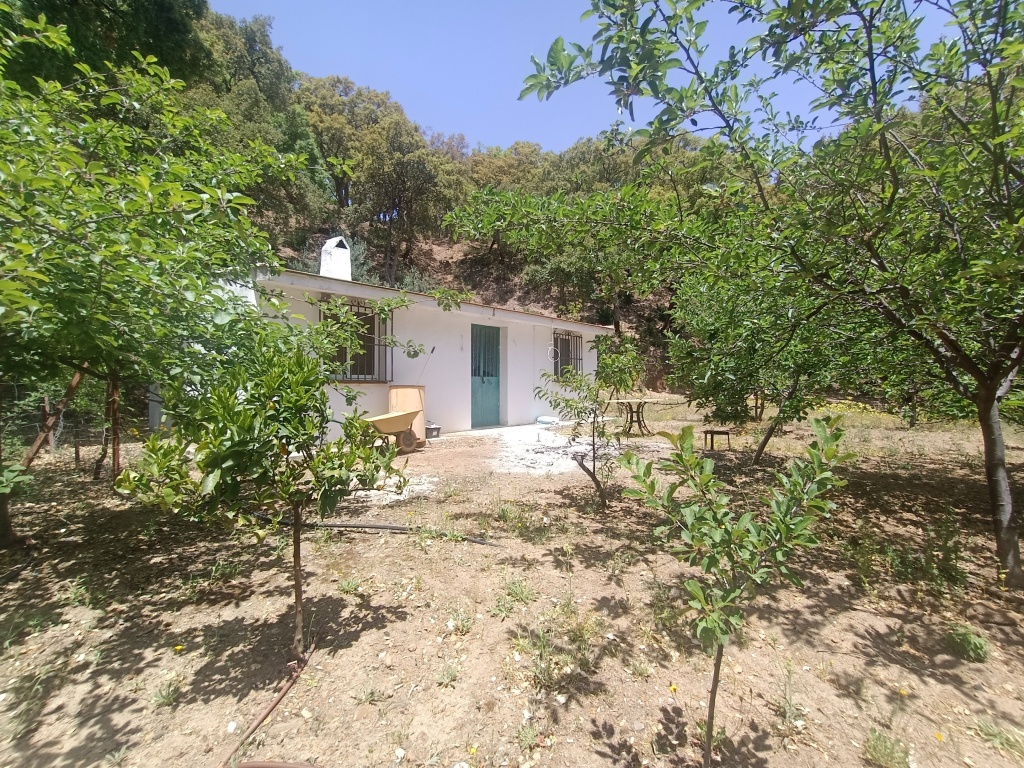 Imagen 2 de Casa de campo-Masía en Venta en Jubrique Málaga Imagen 2 de Casa de campo-Masía en Venta en Jubrique Málaga