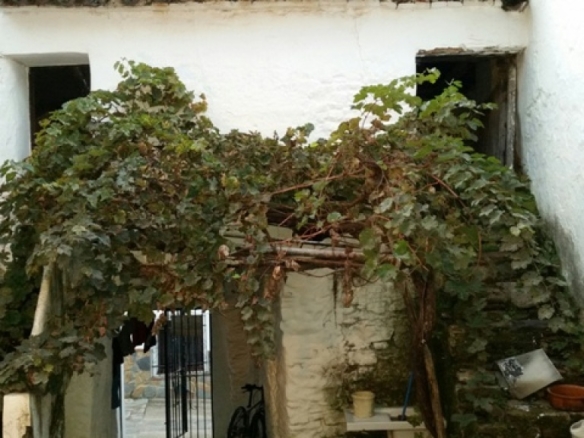 Imagen 2 de Casa de pueblo en Venta en Benarraba Málaga