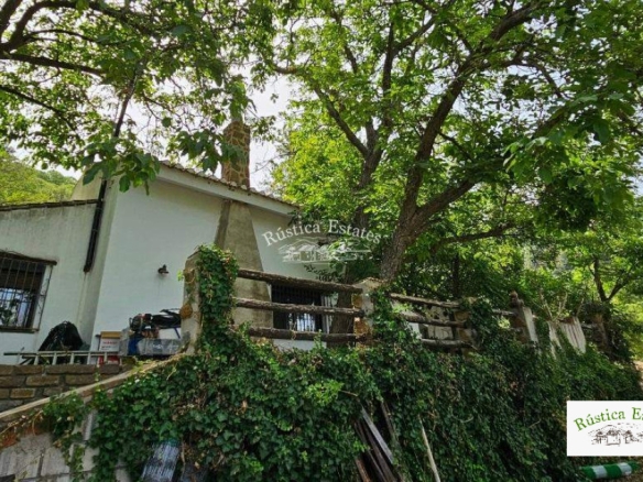 Imagen 2 de Casa de campo-Masía en Venta en Jubrique Málaga