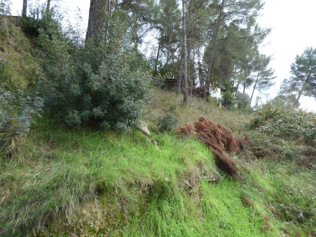 Imagen 3 de TERRENO URBANIZABLE CON IMPRESIONANTES VISTAS EN CASTELLGALÍ Imagen 3 de TERRENO URBANIZABLE CON IMPRESIONANTES VISTAS EN CASTELLGALÍ