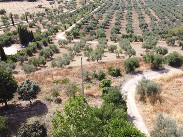 Imagen 2 de Casa de campo-Masía en Venta en Ronda Málaga