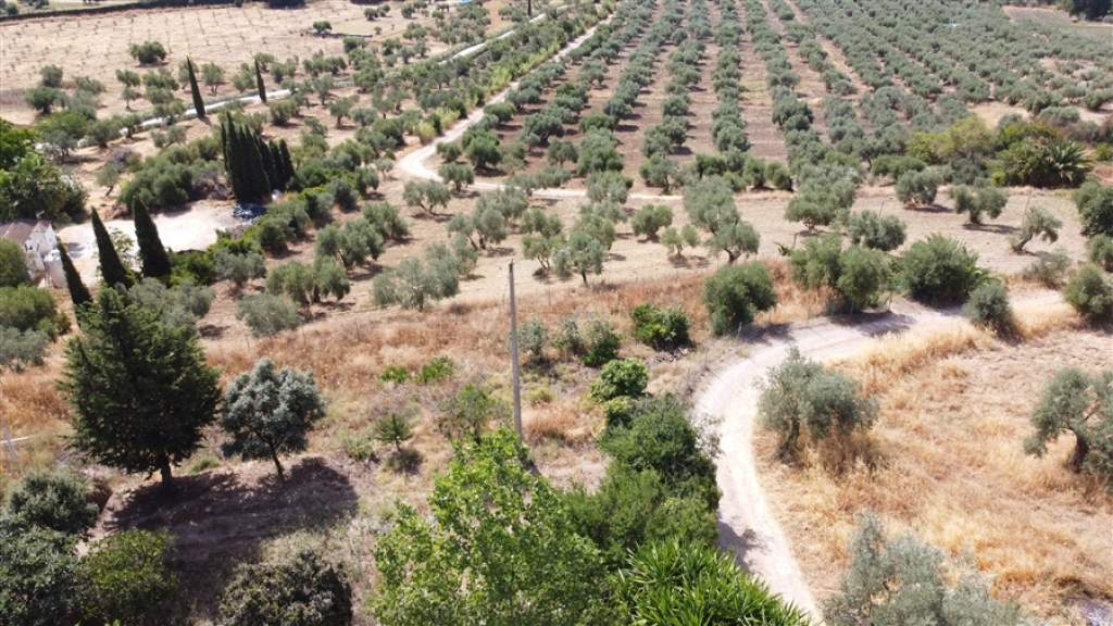 Imagen 2 de Casa de campo-Masía en Venta en Ronda Málaga
