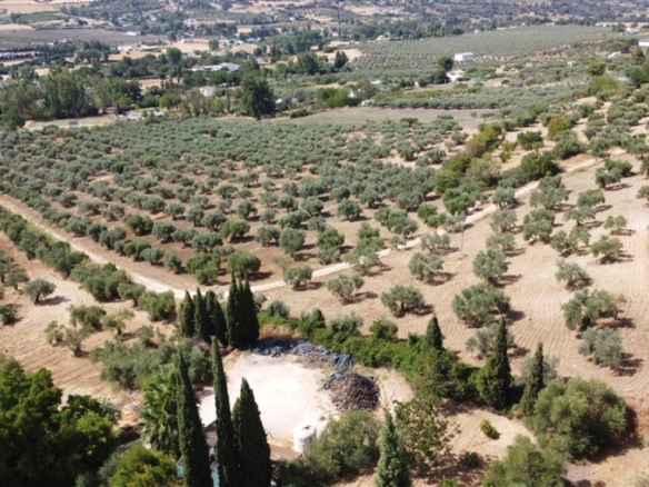 Imagen 3 de Casa de campo-Masía en Venta en Ronda Málaga