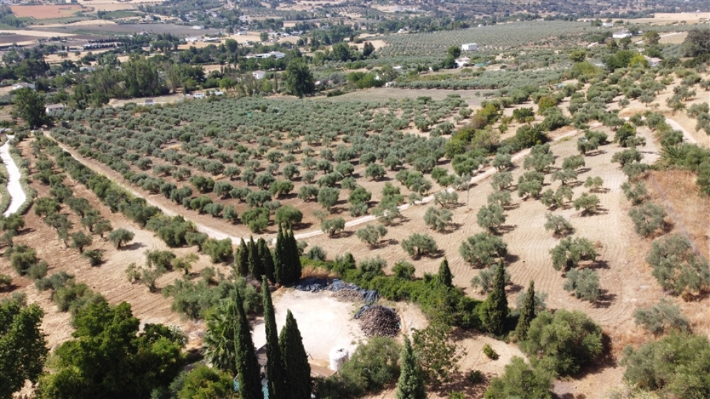 Imagen 3 de Casa de campo-Masía en Venta en Ronda Málaga