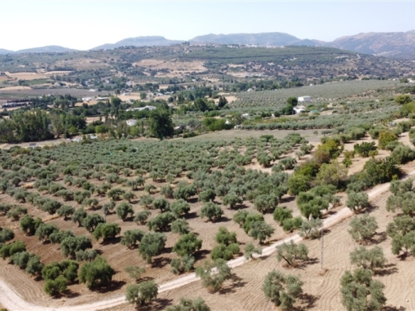 Imagen 4 de Casa de campo-Masía en Venta en Ronda Málaga