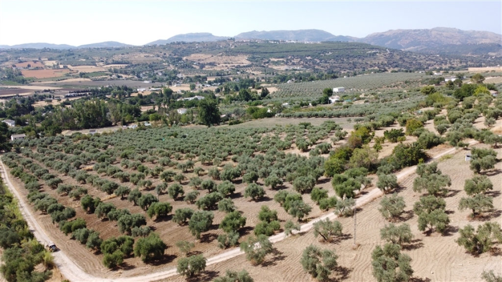 Imagen 4 de Casa de campo-Masía en Venta en Ronda Málaga