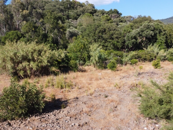 Imagen 3 de Casa de campo-Masía en Venta en Benarraba Málaga