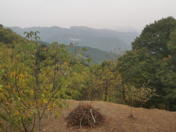 Imagen 3 de Casa de campo-Masía en Venta en Jubrique Málaga