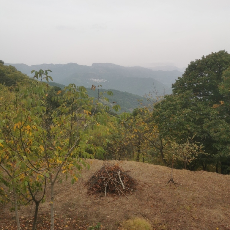 Imagen 3 de Casa de campo-Masía en Venta en Jubrique Málaga