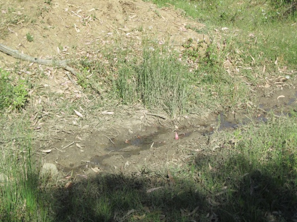 Imagen 4 de Parcela en Venta en Cortes De La Frontera Málaga