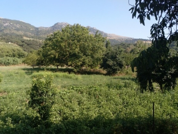 Imagen 4 de Casa de campo-Masía en Venta en Cortes De La Frontera Málaga