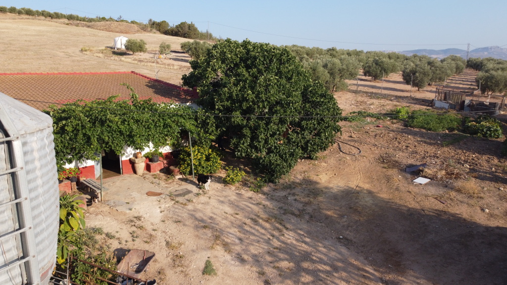 El Málaga El Málaga