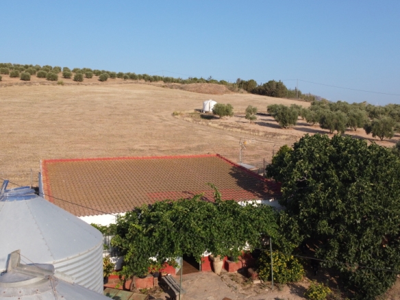 Imagen 2 de Nave industrial en Traspaso en Burgo