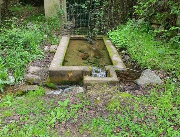 Imagen 4 de Suelo rústico en Venta en Algatocin Málaga