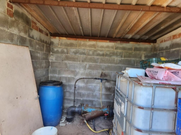 Imagen 2 de Fantástico terreno de naranjos