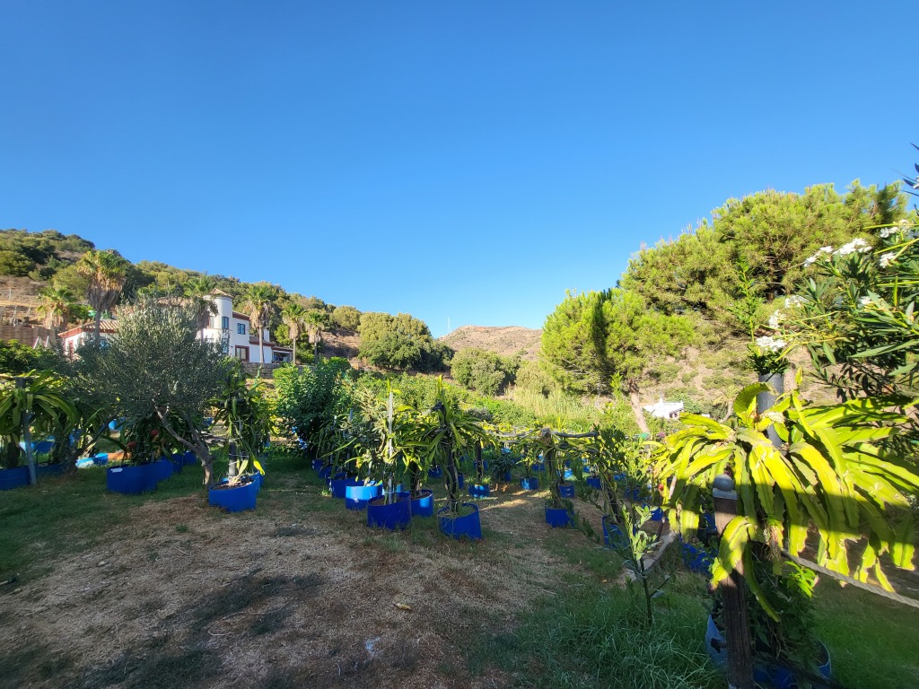 Imagen 4 de Casa-Chalet en Venta en Estepona Málaga