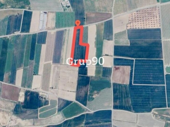 Imagen 3 de Finca de regadío con almacenes en venta en Alcoletge.