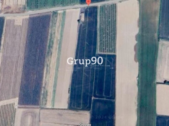 Imagen 4 de Finca de regadío con almacenes en venta en Alcoletge.