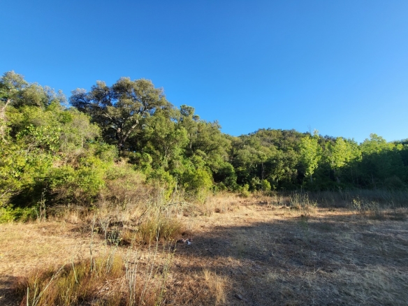 Imagen 4 de Casa de campo-Masía en Venta en Farajan Málaga