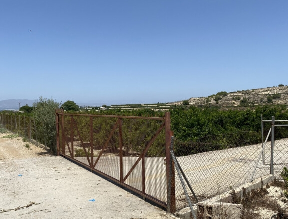 Imagen 2 de Magnifica Finca de citricos en produccion