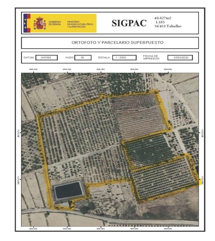 Imagen 1 de Magnifica Finca de citricos en produccion