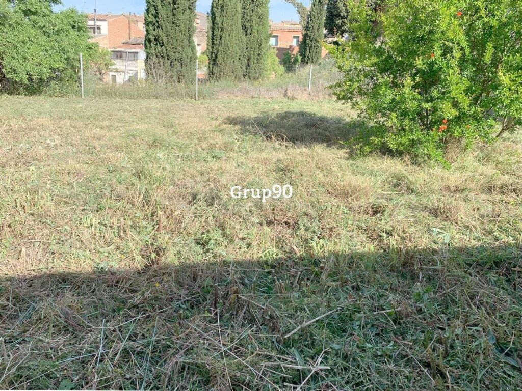 Imagen 2 de ¡PARCELA URBANA EN EL CORAZÓN DEL PUEBLO A UN PRECIO IRRESISTIBLE!