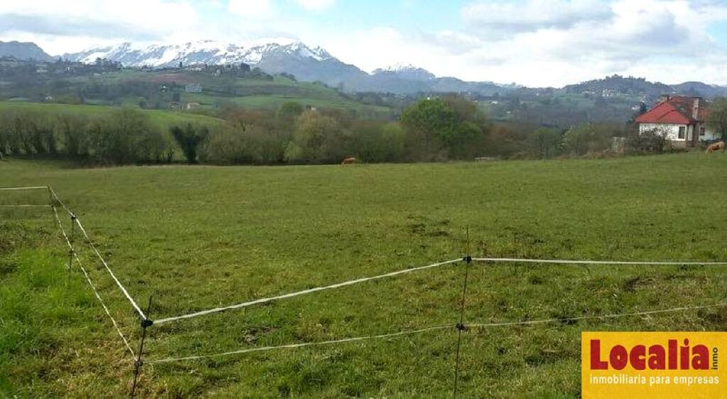 Imagen 3 de Venta de 11 suelos urbanizables en Oviedo