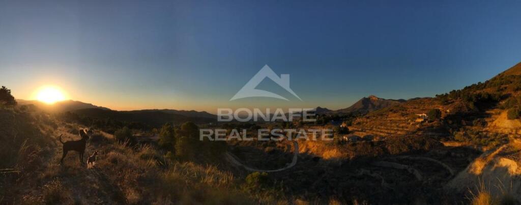 Imagen 2 de Villa rústica con establo para 12 caballos – Un paraíso ecuestre en Jijona