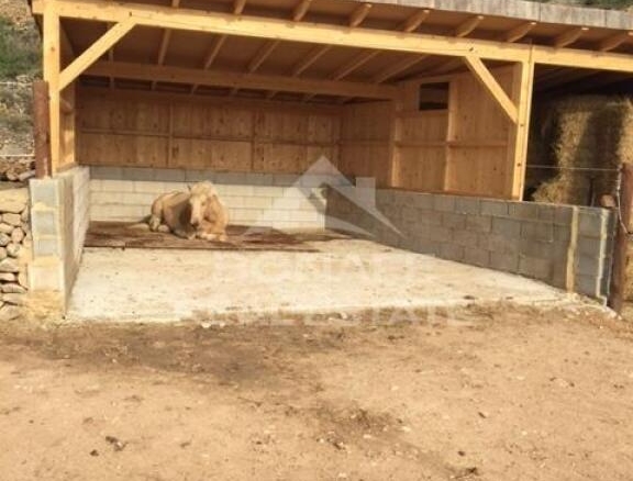 Imagen 4 de Villa rústica con establo para 12 caballos – Un paraíso ecuestre en Jijona