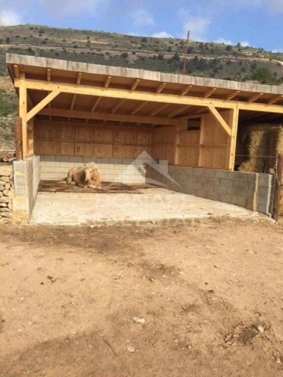 Imagen 4 de Villa rústica con establo para 12 caballos – Un paraíso ecuestre en Jijona