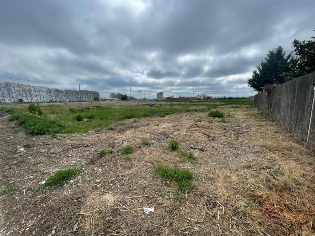 Imagen 4 de EXCLUSIVA APIALIA ¡OPORTUNIDAD! TERRENO RÚSTICO EN MOLLERUSSA ? Imagen 4 de EXCLUSIVA APIALIA ¡OPORTUNIDAD! TERRENO RÚSTICO EN MOLLERUSSA ?