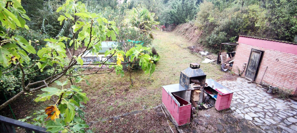 Imagen 1 de CASA CON PISCINA EN PLENA NATURALEZA EN ZONA CANET DE FALS