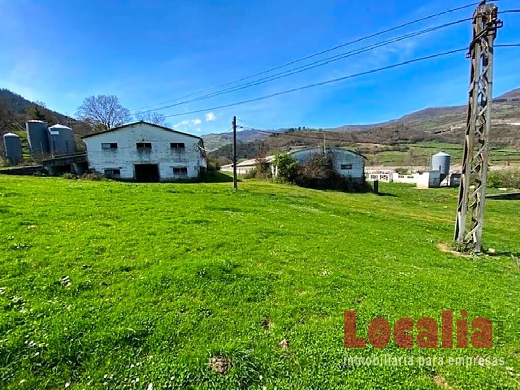 Imagen 2 de Nave industrial en pleno Bárcena de Pie de Concha. Imagen 2 de Nave industrial en pleno Bárcena de Pie de Concha.