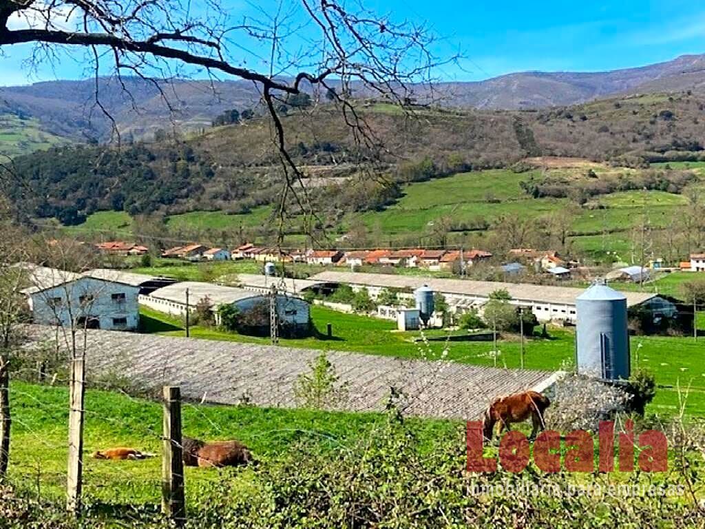 Imagen 4 de Nave industrial en pleno Bárcena de Pie de Concha. Imagen 4 de Nave industrial en pleno Bárcena de Pie de Concha.