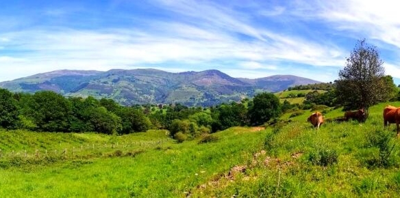 Imagen 2 de Finca rústica con cabaña y bosque autóctono