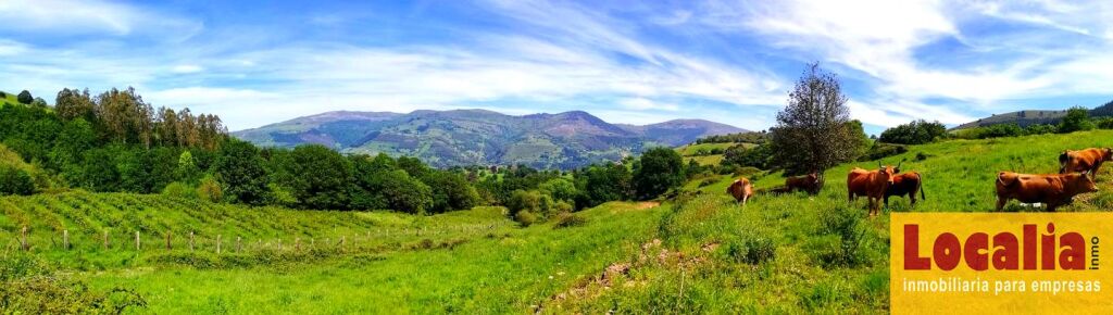 Imagen 2 de Finca rústica con cabaña y bosque autóctono
