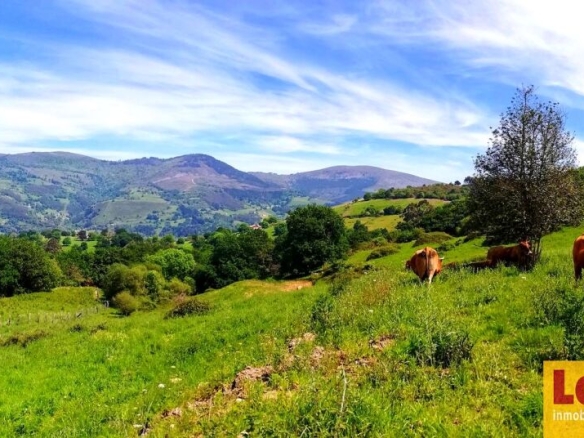 Imagen 3 de Finca rústica con cabaña y bosque autóctono
