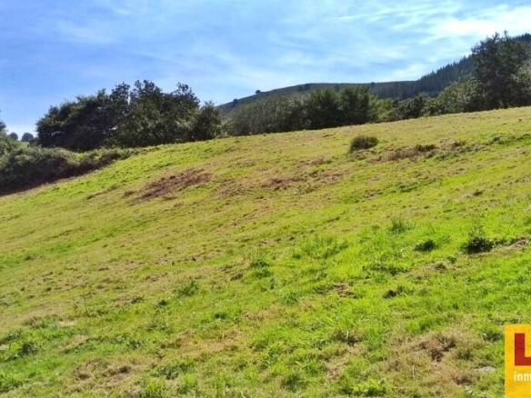 Imagen 4 de Finca rústica con cabaña y bosque autóctono
