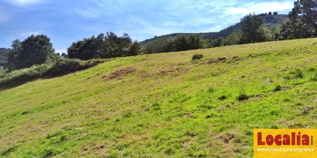 Imagen 4 de Finca rústica con cabaña y bosque autóctono