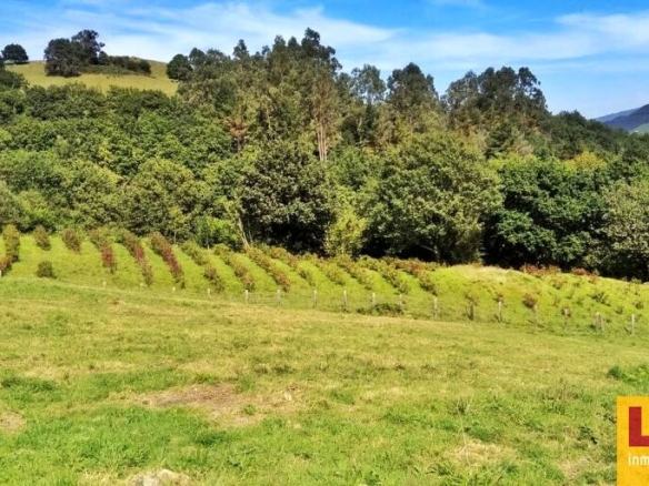 Imagen 1 de Finca rústica con cabaña y bosque autóctono